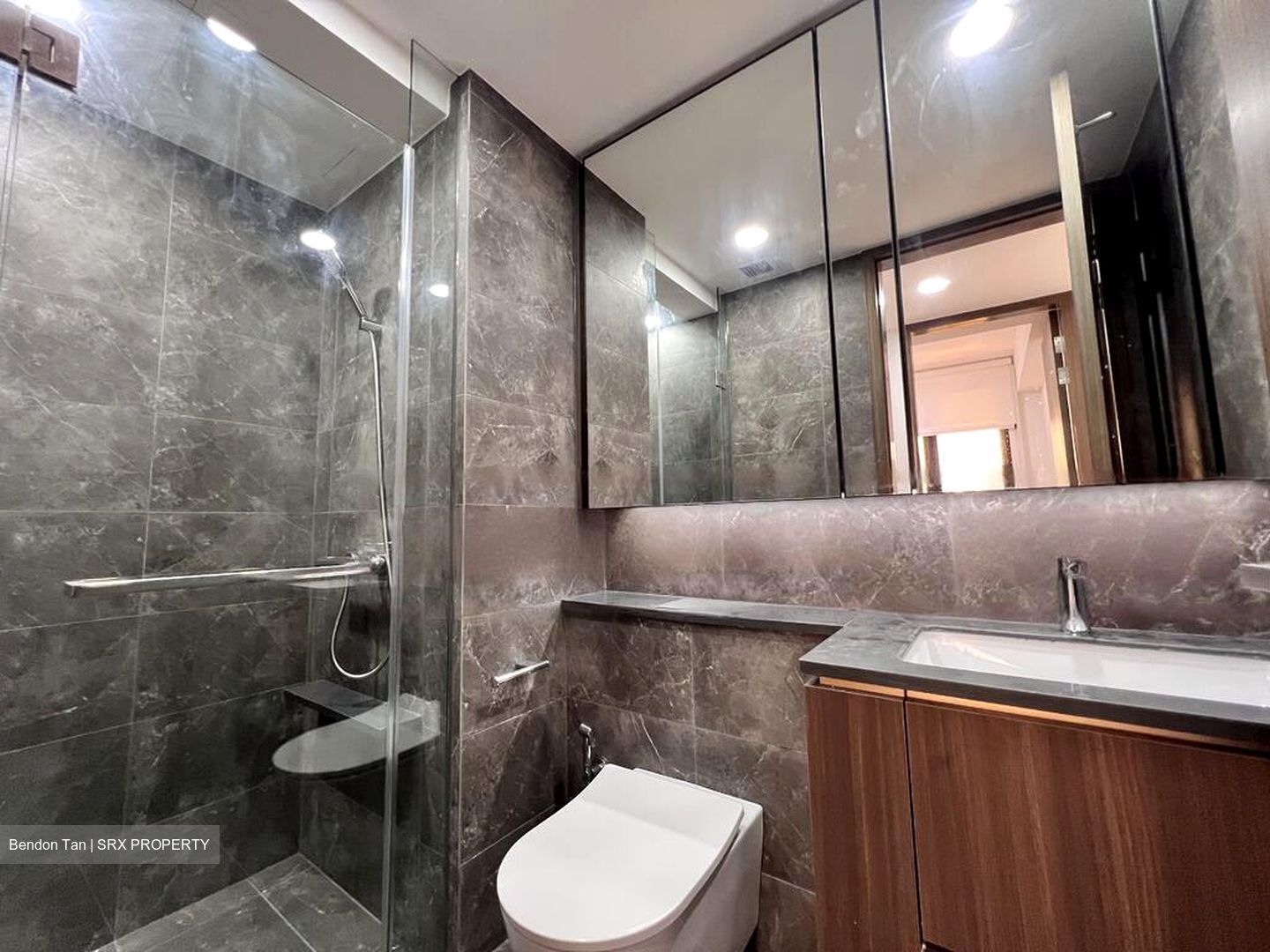 Kopar At Newton (D9), Apartment #478879061